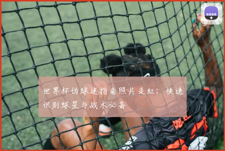 世界杯伪球迷指南照片走红：快速识别球星与战术必备