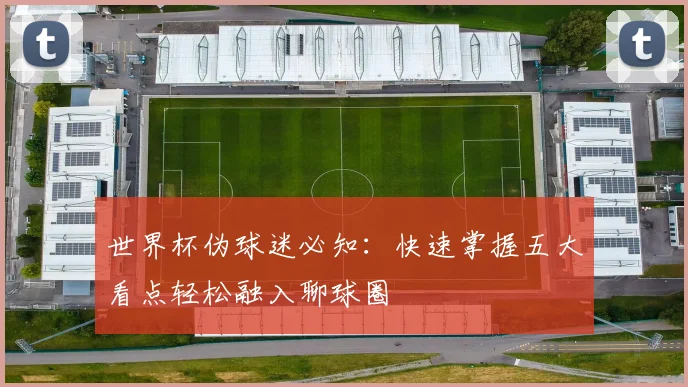 世界杯伪球迷必知：快速掌握五大看点轻松融入聊球圈