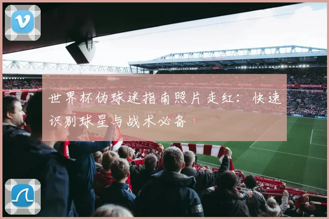 世界杯伪球迷指南照片走红：快速识别球星与战术必备