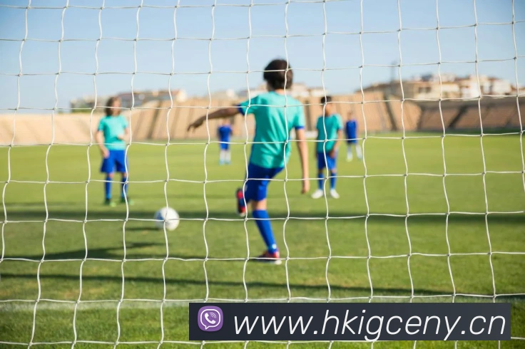 星空体育官网登陆平台生态图